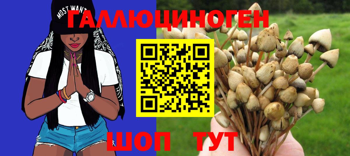 Можга  Псилоцибиновые грибы GOLDEN TEACHER  Вход с VPN  Галлюциногенные грибы Cubensis 